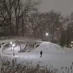 Homem caminha em meio à neve acumulada no Central Park, em Nova York | Foto: Reprodução/X