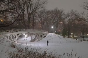 Homem caminha em meio à neve acumulada no Central Park, em Nova York | Foto: Reprodução/X