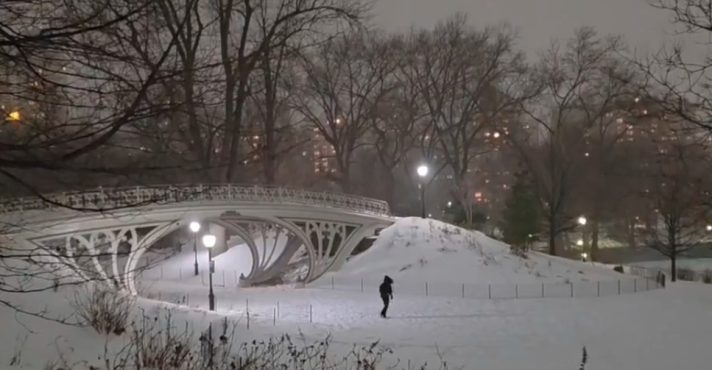 Homem caminha em meio à neve acumulada no Central Park, em Nova York | Foto: Reprodução/X