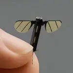 Drone com menos de um centímetro tem formato de mosquito: espionagem chinesa | Foto: Reprodução/X