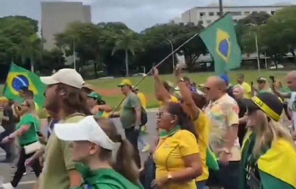 Com bandeira e cores do Brasil, manifestantes pedem anistia e criticam STF em Brasília