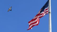 Governo dos Estados Unidos investe contra as políticas woke | Foto: Reprodução/Flickr