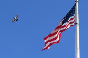 Governo dos Estados Unidos investe contra as políticas woke | Foto: Reprodução/Flickr