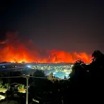 Incêndios florestais deixam ao menos 15 mortos no Chile
