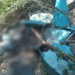 Helicóptero cai no Rio de Janeiro