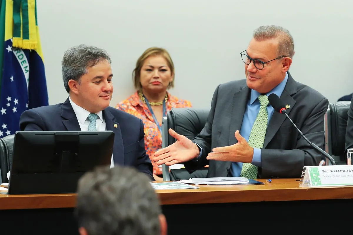 Autoridades dialogam em comissão legislativa durante audiência pública sobre orçamento e planejamento governamental
