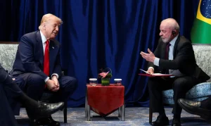 Trump Conselho