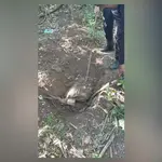 Restos mortais foram encontrados em cemitério clandestino | Foto: Reprodução