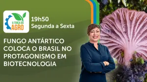 A Força do Agro é transmitido de segunda a sexta, das 19h50 às 20h30 | Foto: Divulgação/Oeste