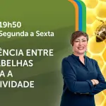 A Força do Agro é transmitido de segunda a sexta, das 19h50 às 20h30 | Foto: Divulgação/Oeste