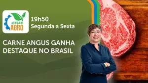 a força do agro 12022026