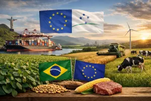 O acesso a mais de 450 milhões de consumidores muda completamente o patamar de competitividade do agro brasileiro | Foto: Divulgação/Oeste