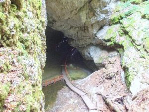 Bactérias resistentes antibióticos caverna de Scărișoara, Romênia