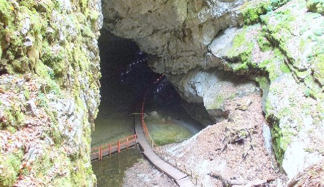 Bactérias resistentes antibióticos caverna de Scărișoara, Romênia