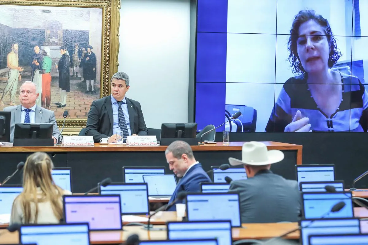 Audiência pública em comissão do Congresso Nacional com parlamentar acompanhando depoimento por videoconferência em telão.