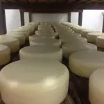 Queijo Canastra Prêmio Minas Gerais