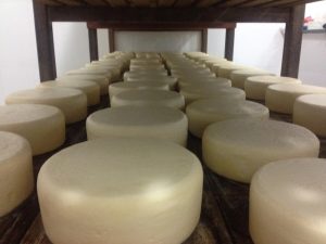 Queijo Canastra Prêmio Minas Gerais