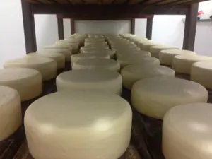 Queijo Canastra Prêmio Minas Gerais