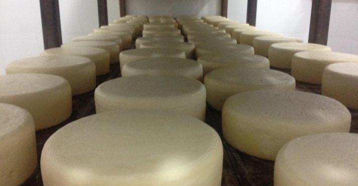 Queijo Canastra Prêmio Minas Gerais
