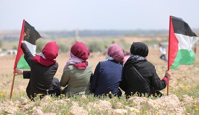 Faixa de Gaza Trump EUA Conselho Paz