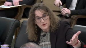 Parlamentar de Minnesota defende que crianças tenham acesso à pornografia | Foto: Reprodução/Redes Sociais