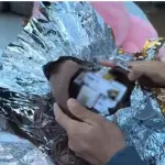 Polícia apreende remédios para emagrecer dentro de ovos de chocolate