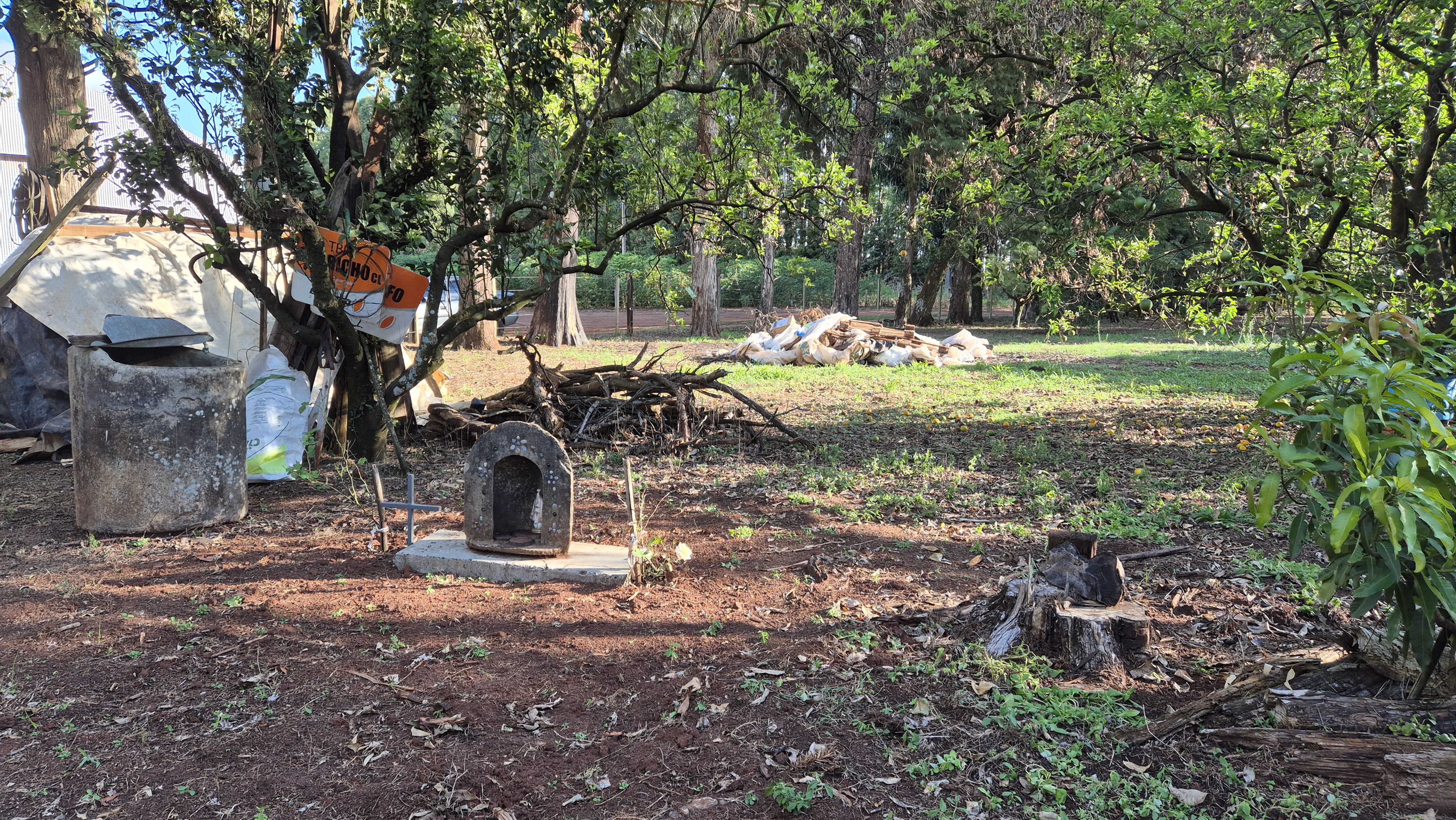 Tronco cortado da nêspera (esquerda), ao lado do santuário, no quintal da fazenda de Leonaldo | Foto: Tauany Cattan/Revista Oeste