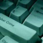 Stalking