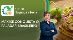 A Força do Agro é transmitido de segunda a sexta, das 19h50 às 20h30 | Foto: Divulgação/Oeste