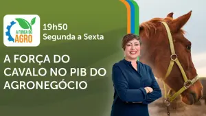 A Força do Agro é transmitido de segunda a sexta, das 19h50 às 20h30 | Foto: Divulgação/Oeste