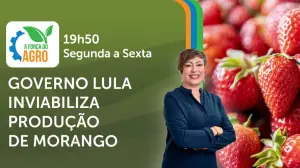 A Força do Agro é transmitido de segunda a sexta, das 19h50 às 20h30 | Foto: Divulgação/Oeste