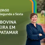 A Força do Agro é transmitido de segunda a sexta, das 19h50 às 20h30 | Foto: Divulgação/Oeste