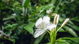 Programa A Força do Agro dia 27 de março