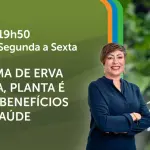 A Força do Agro é transmitido de segunda a sexta, das 19h50 às 20h30 | Foto: Divulgação/Oeste