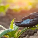 A Força do Agro