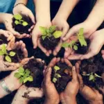 A Força do Agro 4 de março