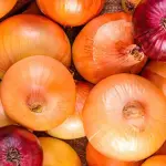 A Força do Agro