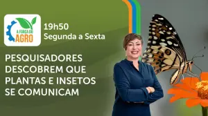 A Força do Agro é transmitido de segunda a sexta, das 19h50 às 20h30 | Foto: Divulgação/Oeste