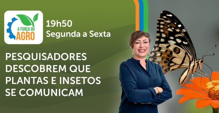 A Força do Agro é transmitido de segunda a sexta, das 19h50 às 20h30 | Foto: Divulgação/Oeste