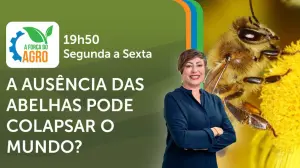 A Força do Agro é transmitido de segunda a sexta, das 19h50 às 20h30 | Foto: Divulgação/Oeste