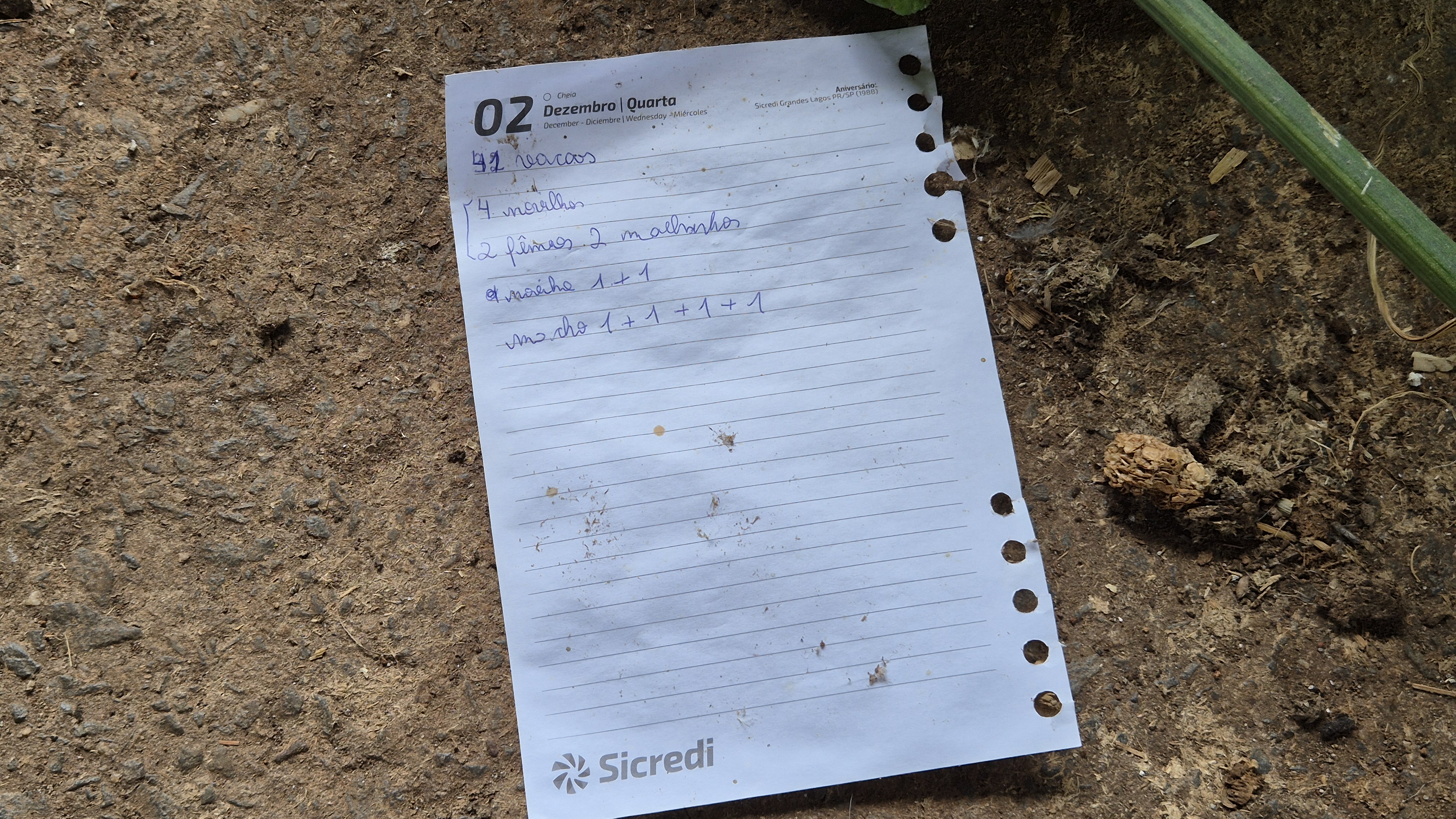 Bilhete de Fernando encontrado no galpão em março de 2026, com as anotações_ '41 vacas 4 novilhos – 2 fêmeas, 2 malhinhos' | Foto: Tauany Cattan/Revista Oeste
