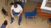 imagens globo jair Bolsonaro em prisão domiciliar