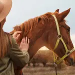 16 de março dia do cavalo