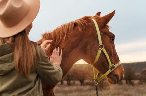 16 de março dia do cavalo