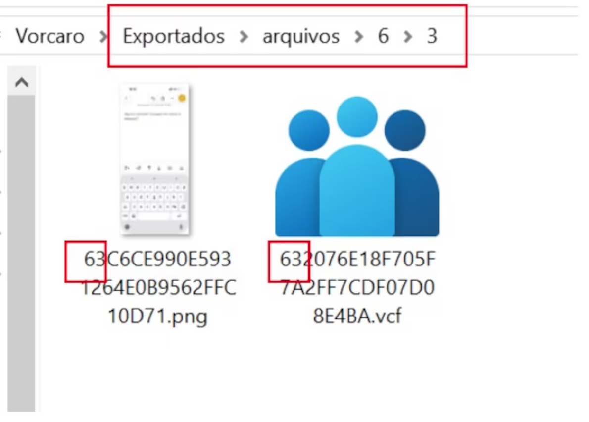 No sistema, os dois arquivos aparecem juntos apenas porque seus hashes começam com os dígitos 6 e 3 | Divulgação/Arquivo pessoal