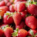 Programa A Força do Agro dia 24 de março