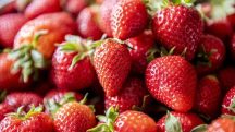 Programa A Força do Agro dia 24 de março