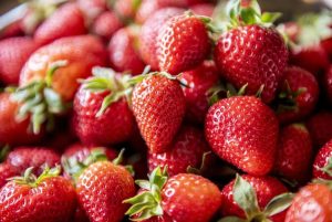 Programa A Força do Agro dia 24 de março