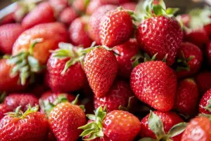 Programa A Força do Agro dia 24 de março