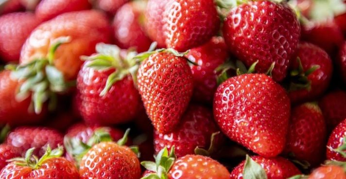 Programa A Força do Agro dia 24 de março